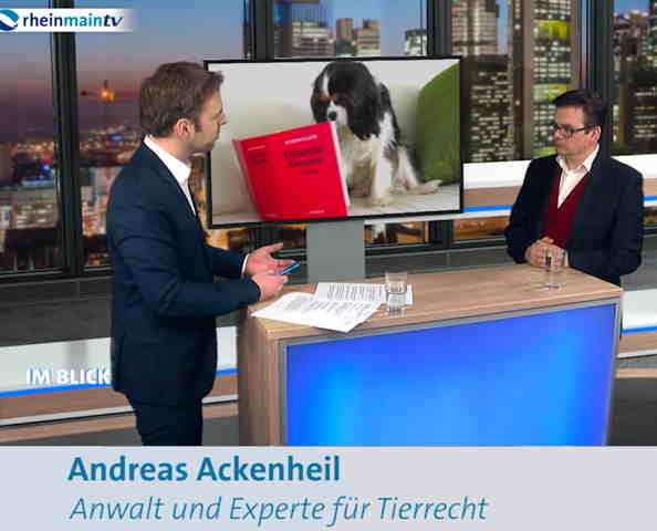 TV Interview Anwalt Ackenheil Tierrecht Hunderecht Pferderecht