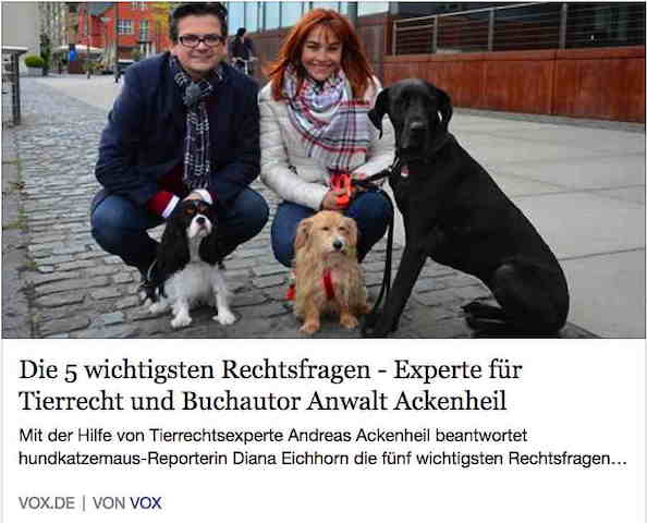 HundKatzeMaus Anwalt für Tierrecht Pferderecht Ackenheil mit Diana Eichhorn