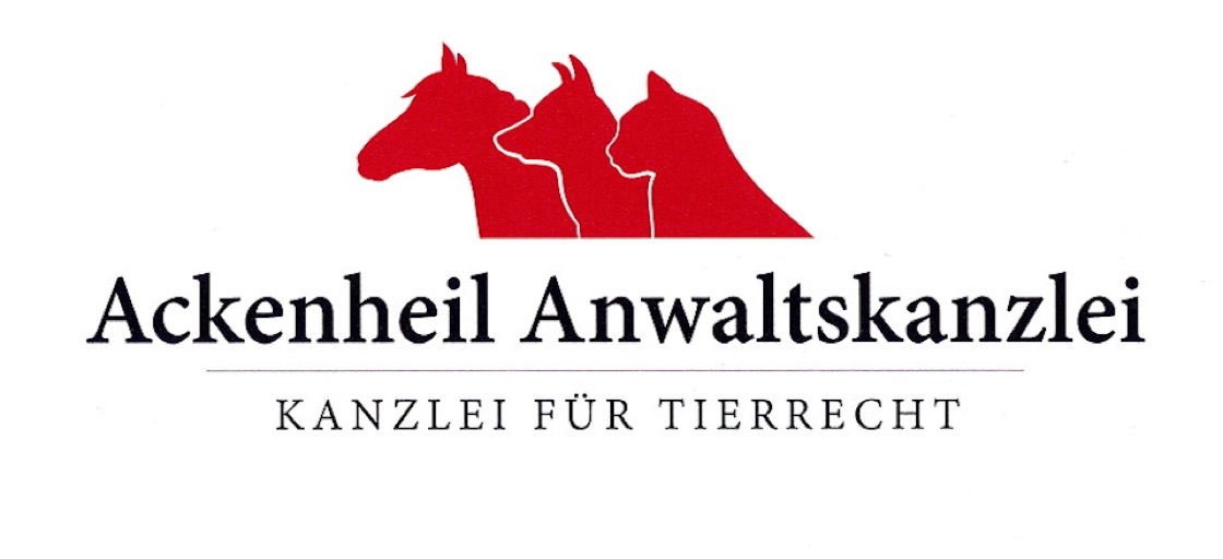 Rücktritt vom Pferdekaufvertrag Pferdekaufrecht Ackenheil