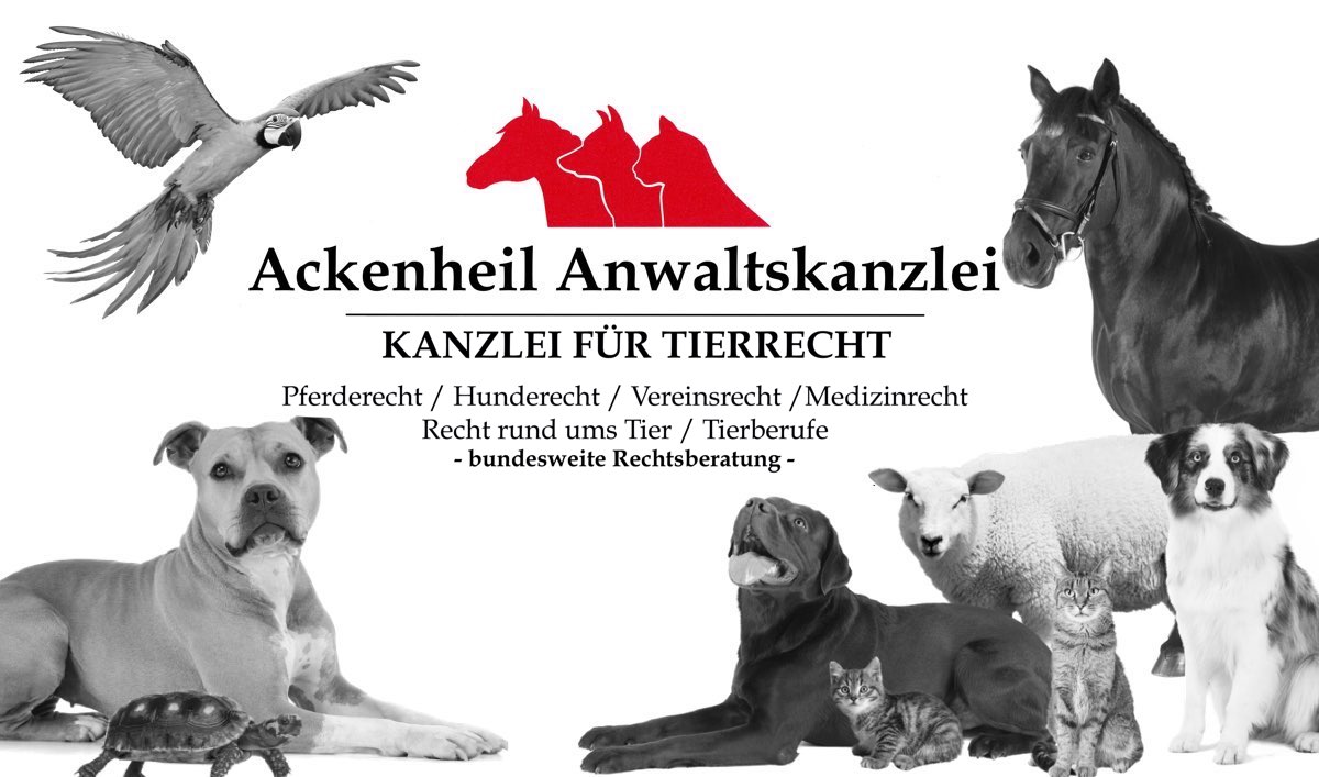 Tierrecht Anwalt Kontakt