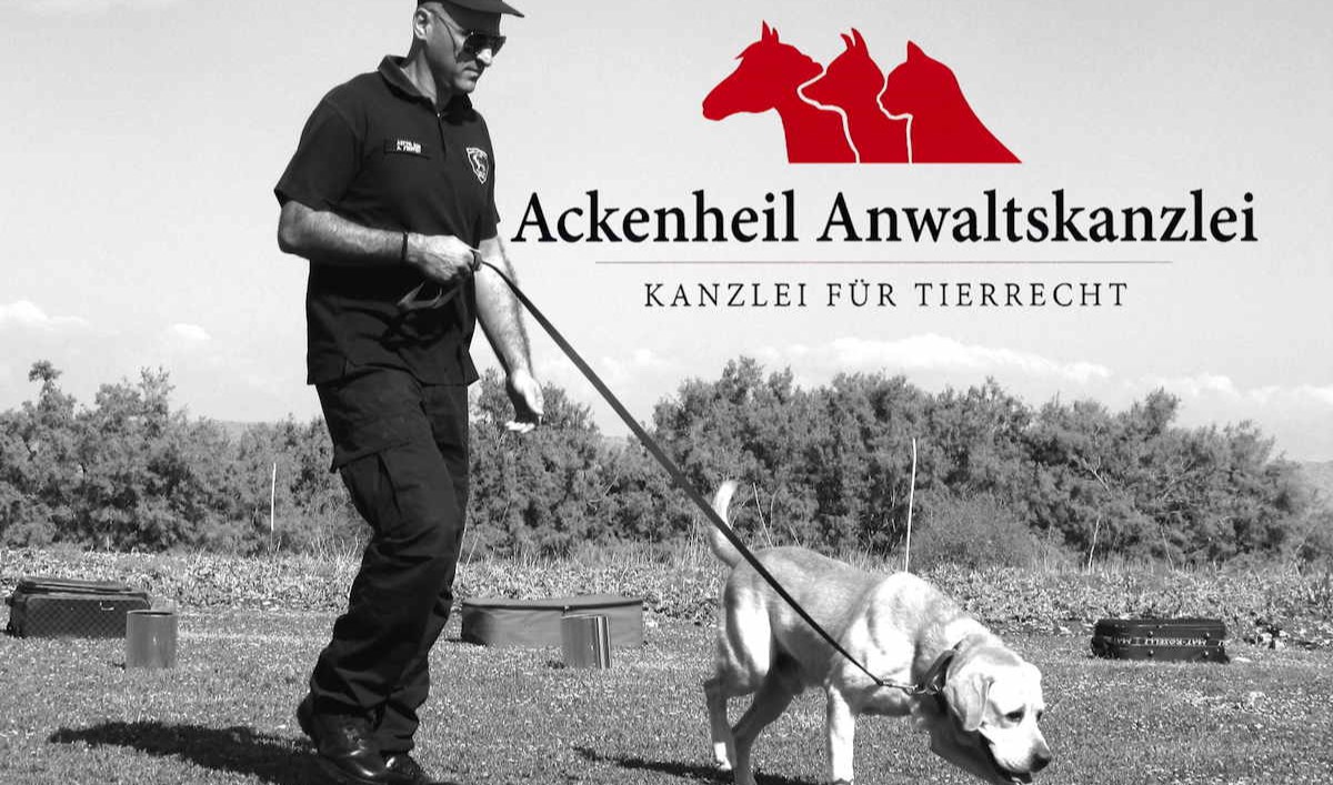 Hundetrainer Tierschutzgesetz §11 TierSchG Tipps & Fallen Anwalt Ackenheil 