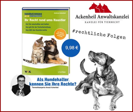 Tiere in der Wohnung Tierrecht Tieranwalt Tierrechtsanwalt