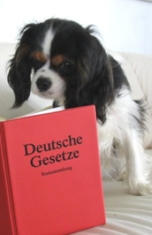 Anwalt kostenlos  PFERDERECHT